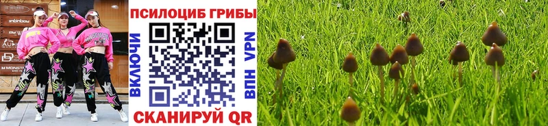 наркота  Ливны  Галлюциногенные грибы ЛСД 